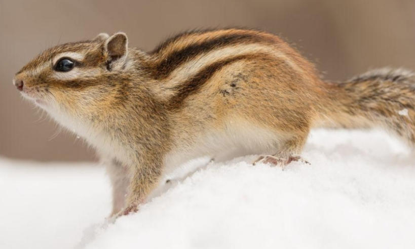 上海奥科华中国际贸易有限公司轮播图4