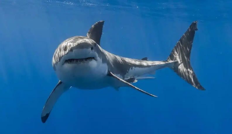 上海奥科华中国际贸易有限公司轮播图5